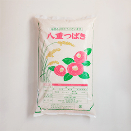 八重つばき・白 白米10kg
