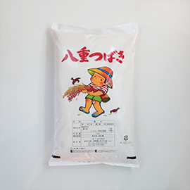八重つばき・青 5kg